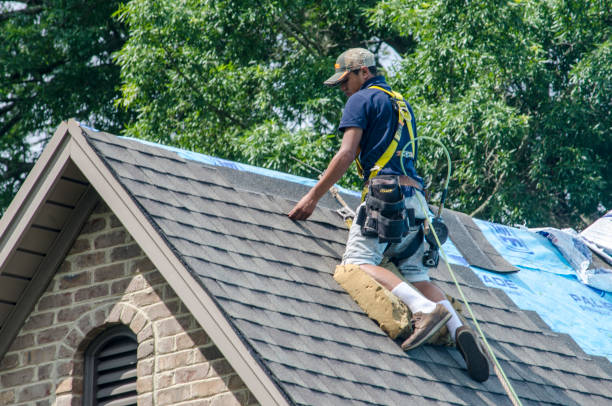 Best Storm Damage Roof Repair  in Gregory, TX